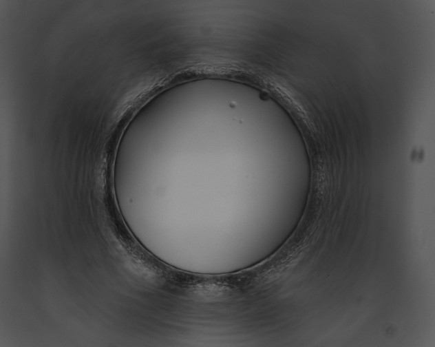 X0000091170586200708301157