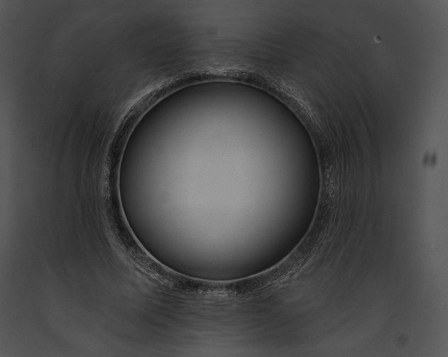 X0000091170587200708301157