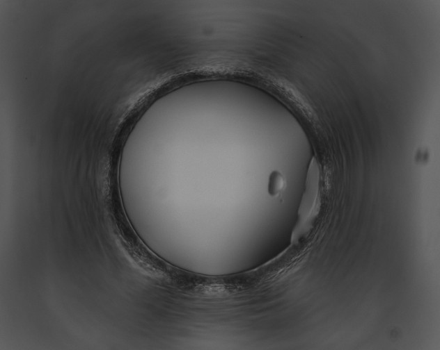 X0000091170588200708301157