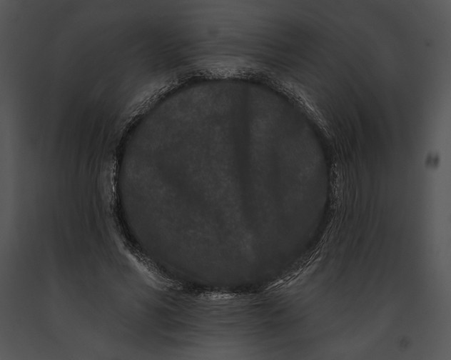 X0000091170590200708301157