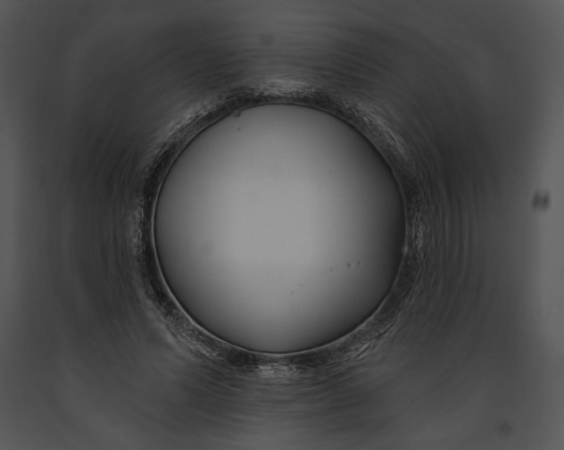 X0000091170591200708301157