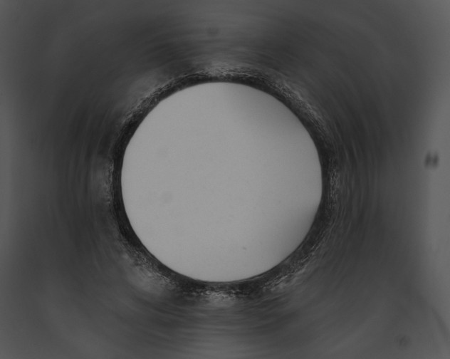 X0000091170592200708301157