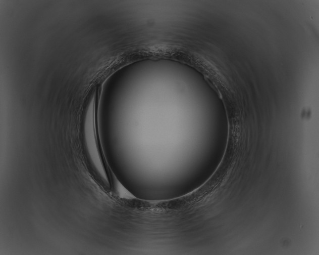 X0000091170593200708301157