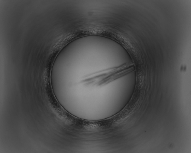 X0000091170594200708301157