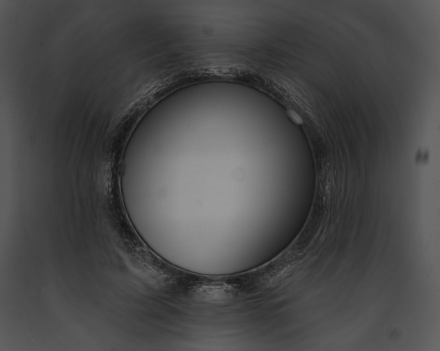 X0000091170595200708301157