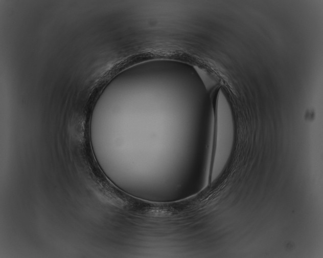 X0000091170596200708301157