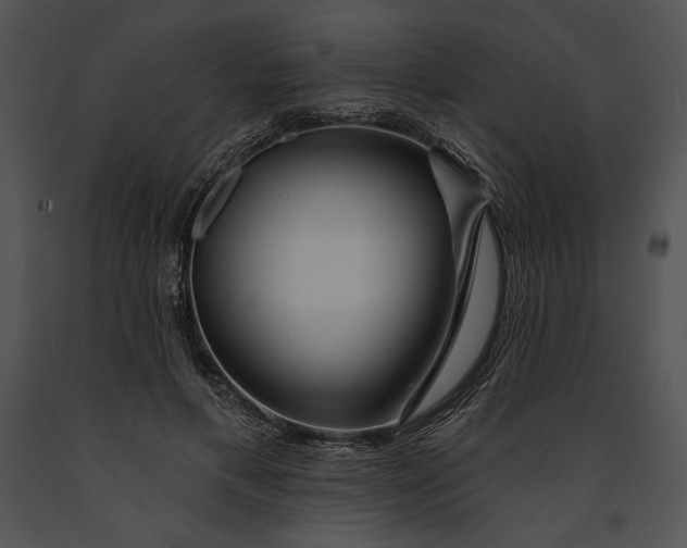 X0000091170597200708301157