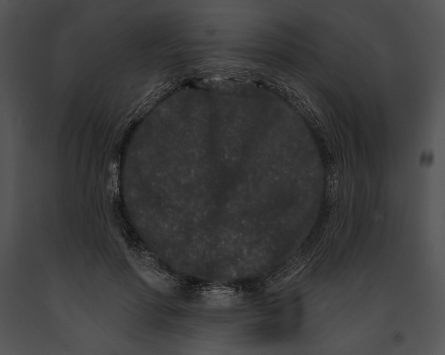 X0000091170598200708301157