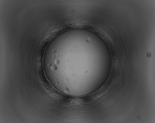 X0000091170599200708301157