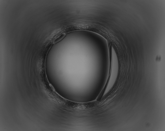 X0000091170600200708301157