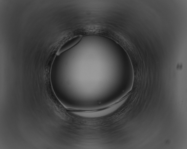 X0000091170601200708301157