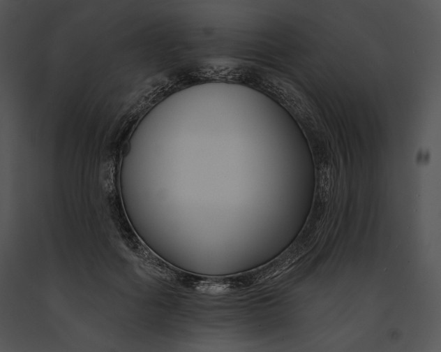 X0000091170602200708301157