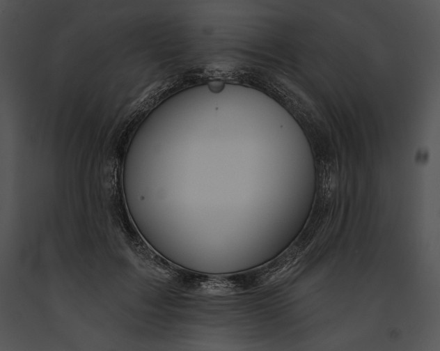 X0000091170603200708301157