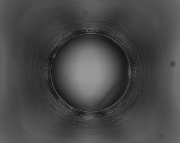 X0000091170604200708301157