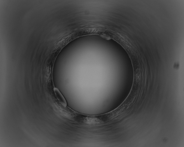 X0000091170605200708301157