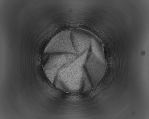 X0000091170606200708301157