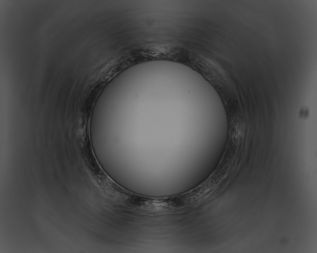 X0000091170607200708301157