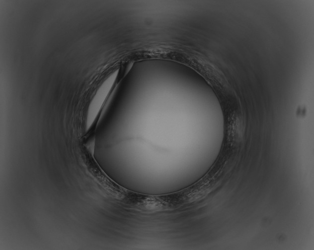 X0000091170608200708301157