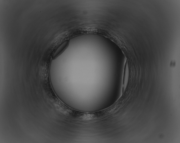 X0000091170609200708301157