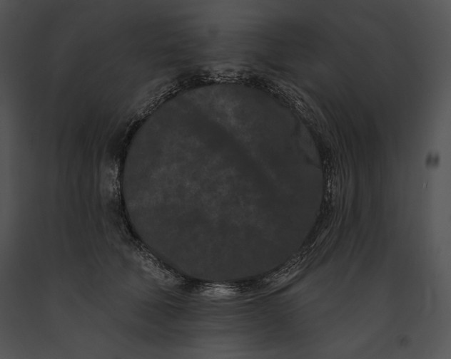 X0000091170610200708301157