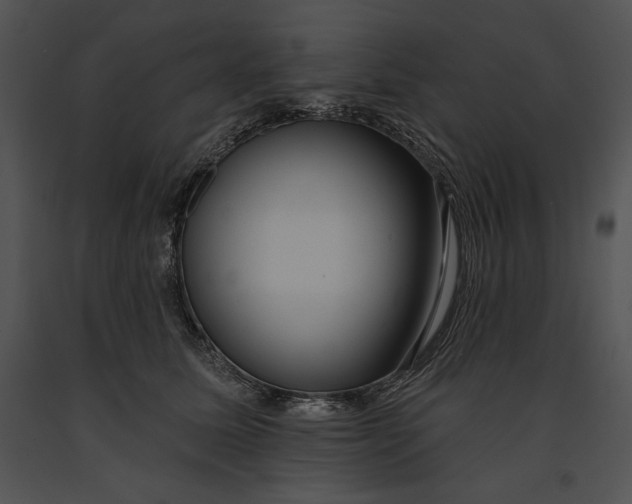 X0000091170611200708301157