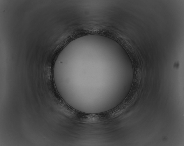 X0000091170612200708301157