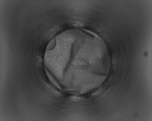 X0000091170614200708301156