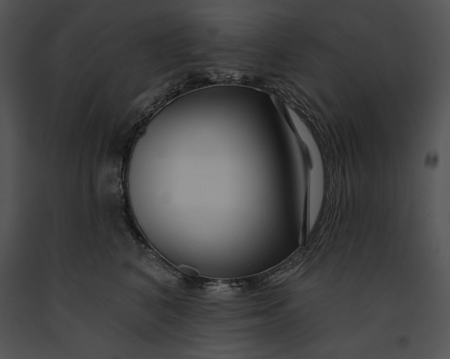 X0000091170616200708301156