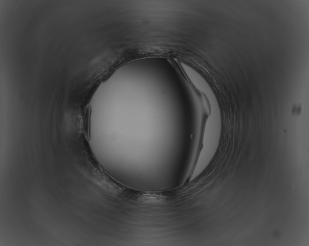 X0000091170617200708301156