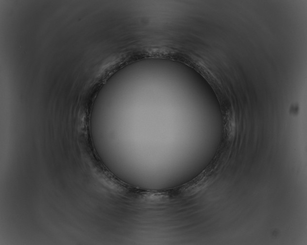 X0000091170619200708301156