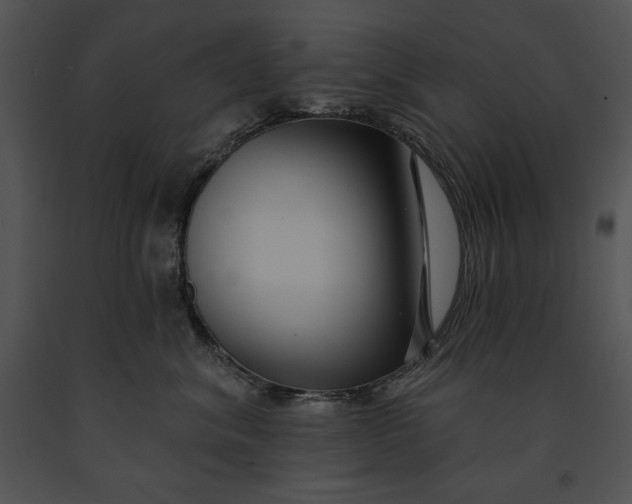 X0000091170620200708301156