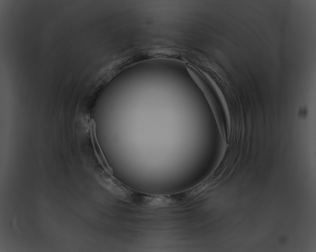 X0000091170621200708301156