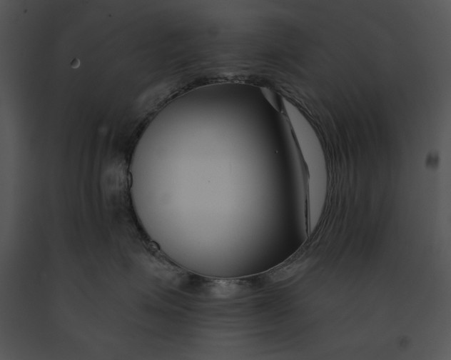 X0000091170623200708301156