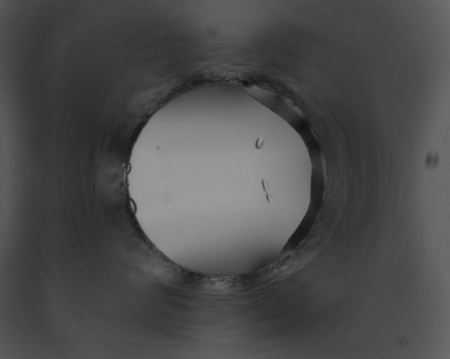 X0000091170624200708301156