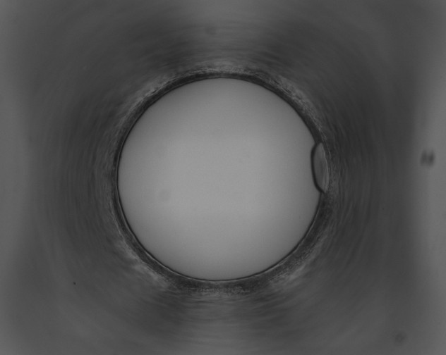 X0000091170625200708301156