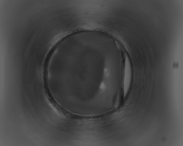 X0000091170626200708301156