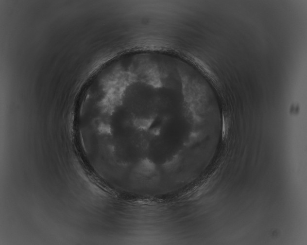 X0000091170627200708301156