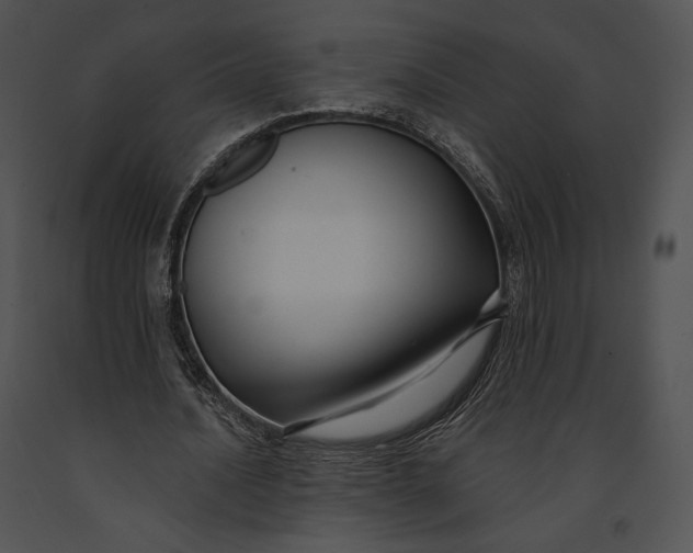 X0000091170628200708301156