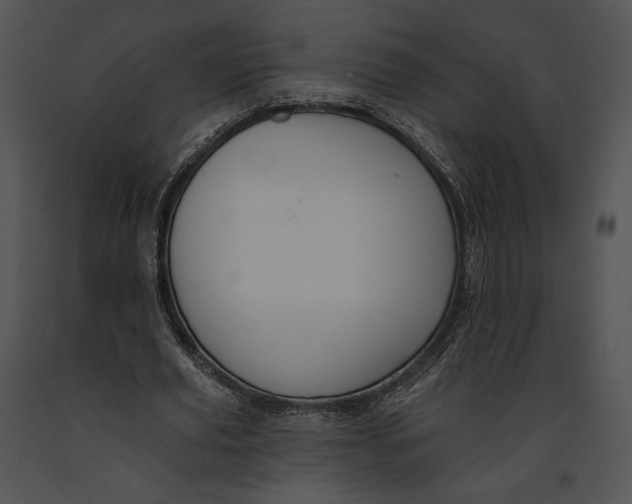 X0000091170629200708301156