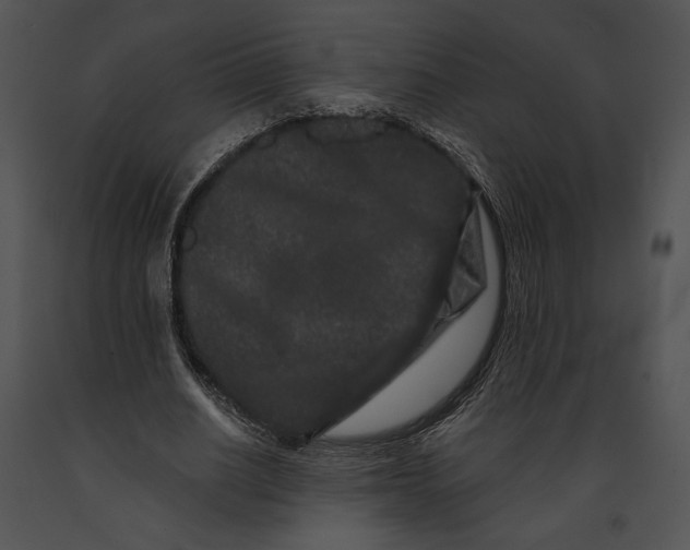 X0000091170630200708301156