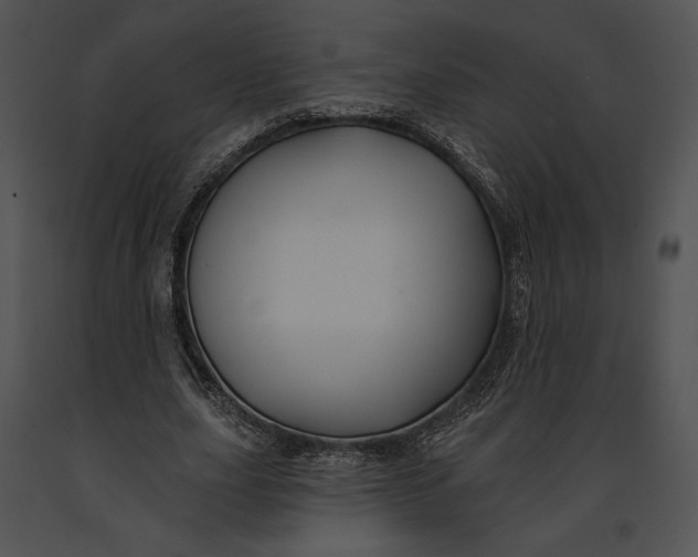 X0000091170631200708301156