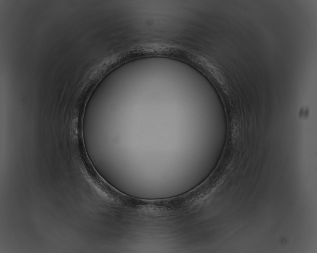 X0000091170633200708301156