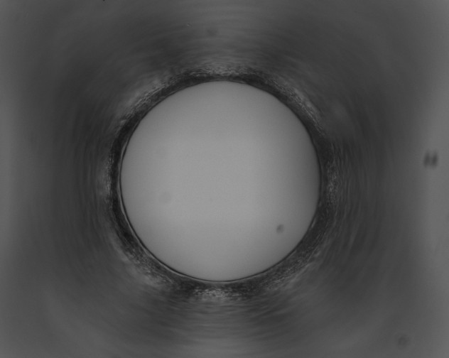 X0000091170635200708301156