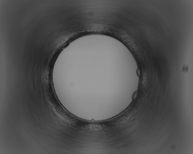 X0000091170636200708301156