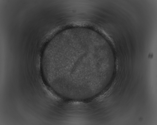 X0000091170637200708301156