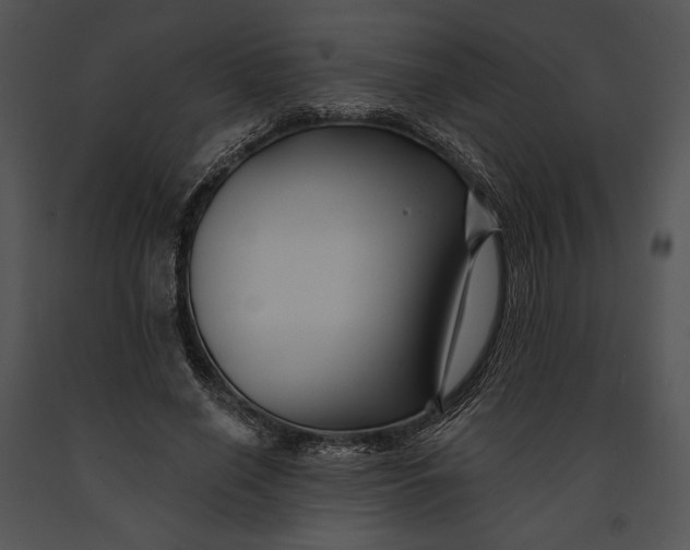 X0000091170638200708301156