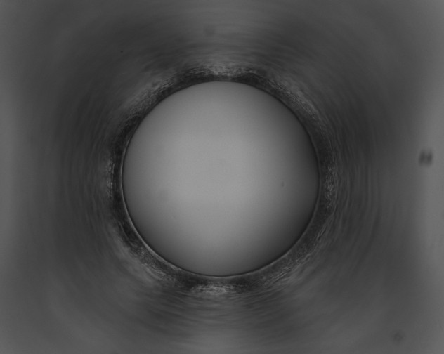 X0000091170639200708301156