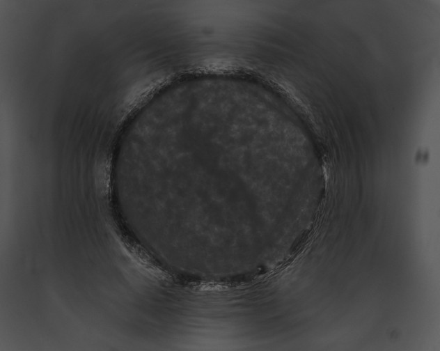 X0000091170640200708301156