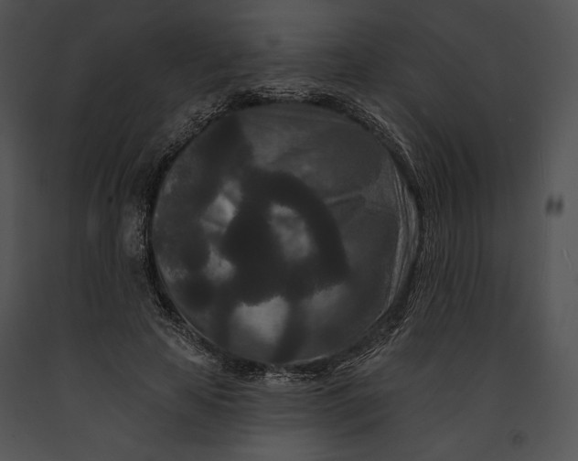 X0000091170641200708301156