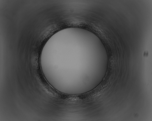 X0000091170642200708301156